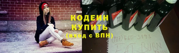 прущий лед Гусев