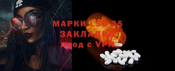 сатива Алзамай