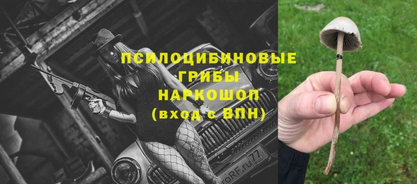сатива Алзамай