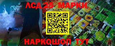 индика Майкоп