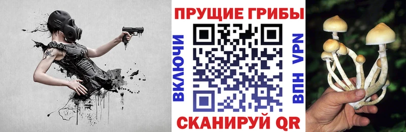Галлюциногенные грибы мухоморы  дарнет шоп  Краснокамск 