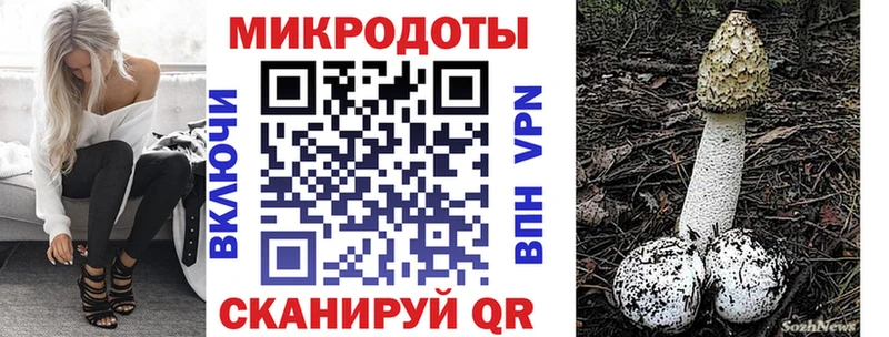 Псилоцибиновые грибы Psilocybine cubensis Краснокамск
